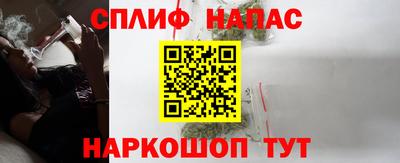 индика Пенза