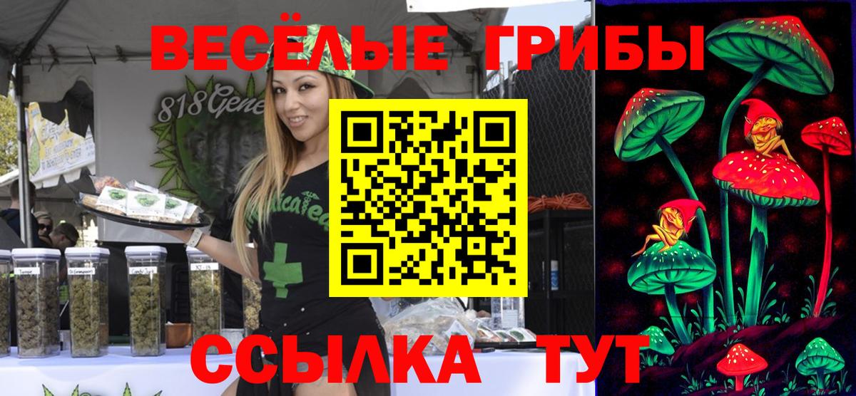Галлюциногенные грибы MAGIC MUSHROOMS  Вход с VPN  Псилоцибиновые грибы ЛСД  Старая Купавна 