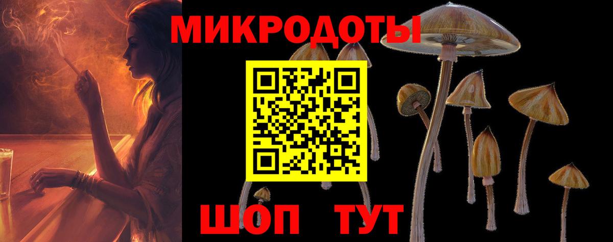 Псилоцибиновые грибы прущие грибы Старая Купавна